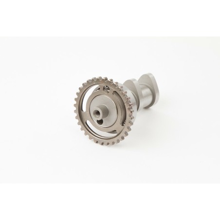 Arbol de levas HOT CAMS ESCAPE - Stage 2 Suzuki RM-Z250