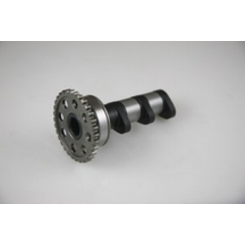 Arbol de levas HOT CAMS ESCAPE - Stage 1