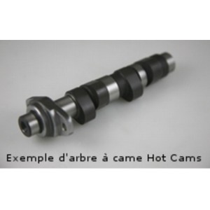 Arbol de levas HOT CAMS - Stage 1 Polaris