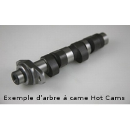 Arbol de levas HOT CAMS - Stage 2 Polaris