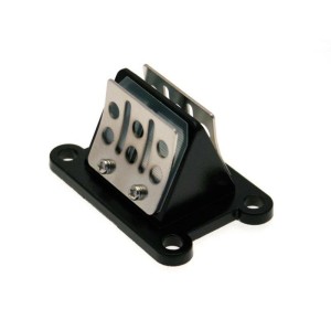 Caja de láminas carbono B1 - Motor Minarelli AM6