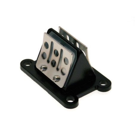 Caja de láminas carbono B1 - Motor Minarelli AM6