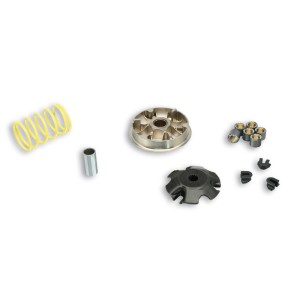 Variador Malossi Multivar 2000