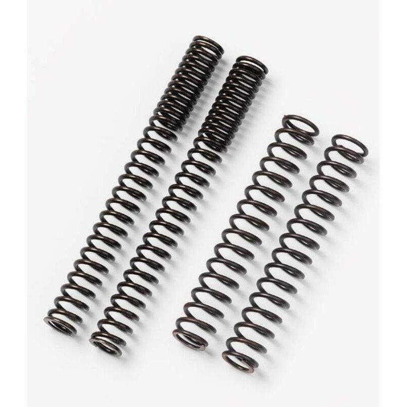 Muelles de horquilla Road Bitubo MH09WO