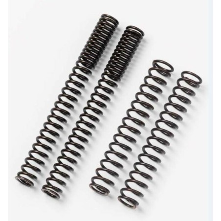 Muelles de horquilla Road Bitubo MY39WO