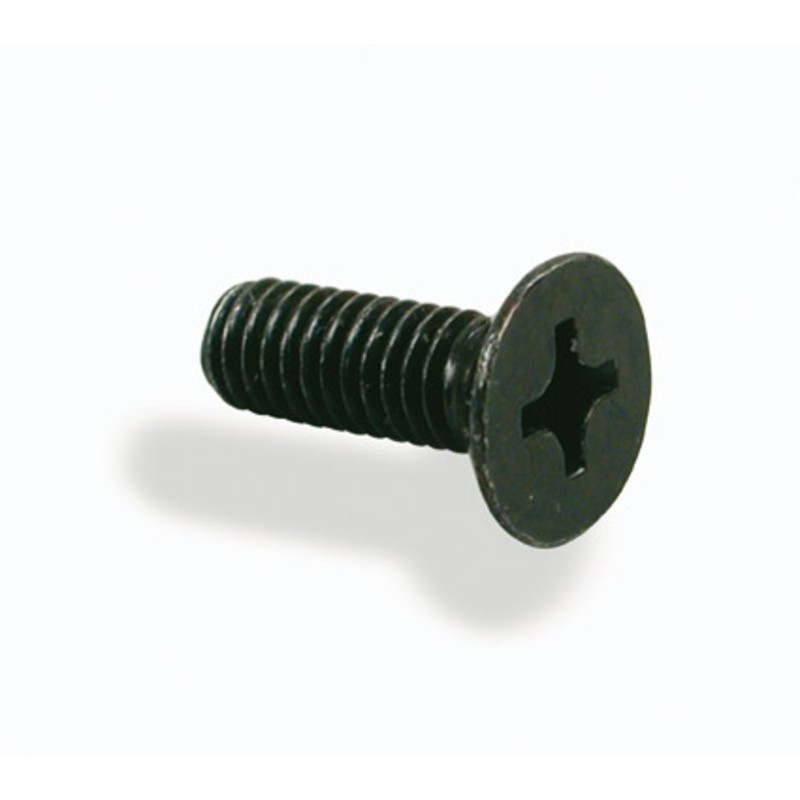 Tornillo para tapa bomba NISSIN M4x12 - 2 unidades