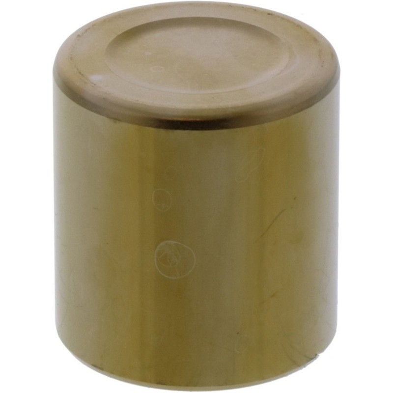 Pistón pinza de freno TOURMAX Honda CBR1100XX/VFR800FI/GL1500A Gold...