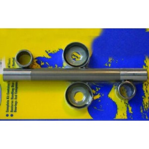 Kit de reparación de basculante PIVOT WORKS POUR YAMAHA BANSHEE 198...
