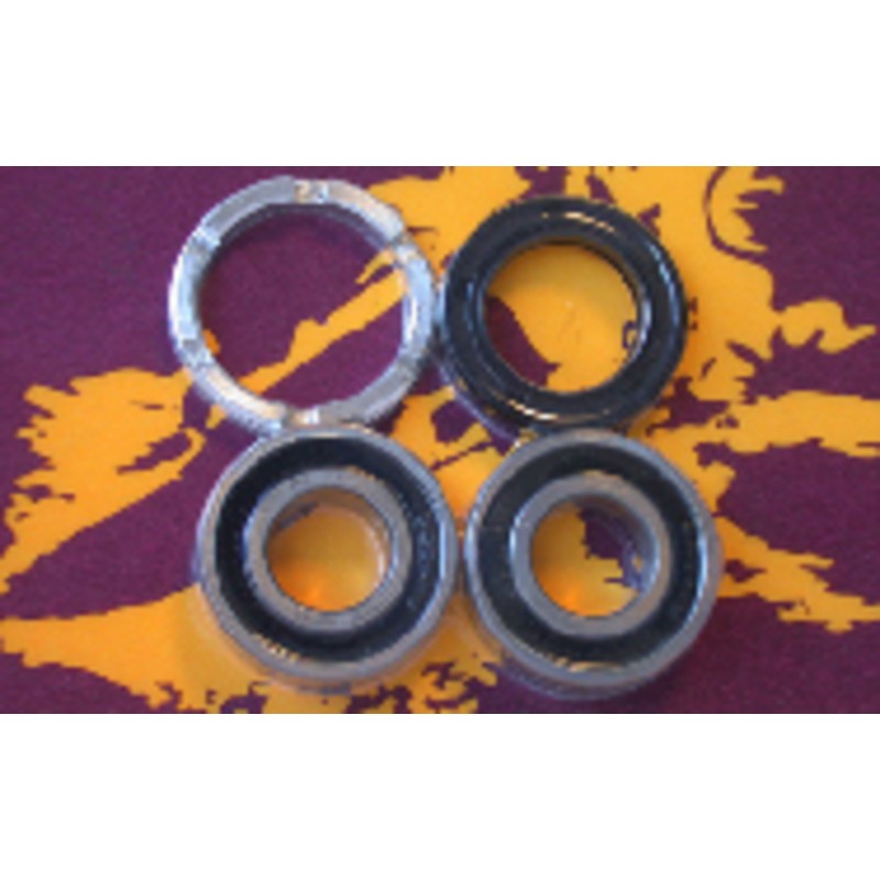 Kit de rodamientos y retenes de rueda trasera PIVOT WORKS