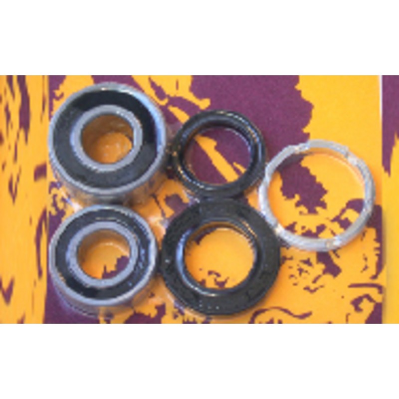 Kit de rodamientos y retenes de rueda trasera PIVOT WORKS