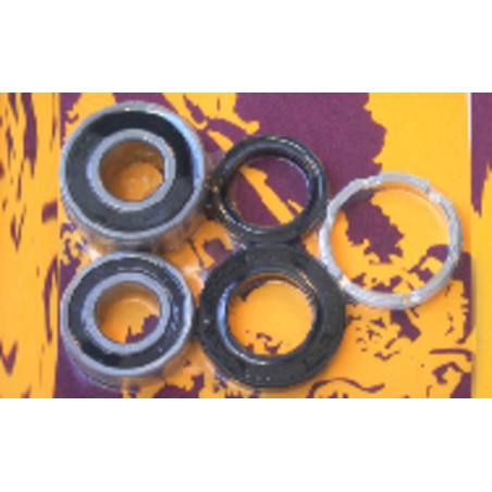 Kit de rodamientos y retenes de rueda trasera PIVOT WORKS