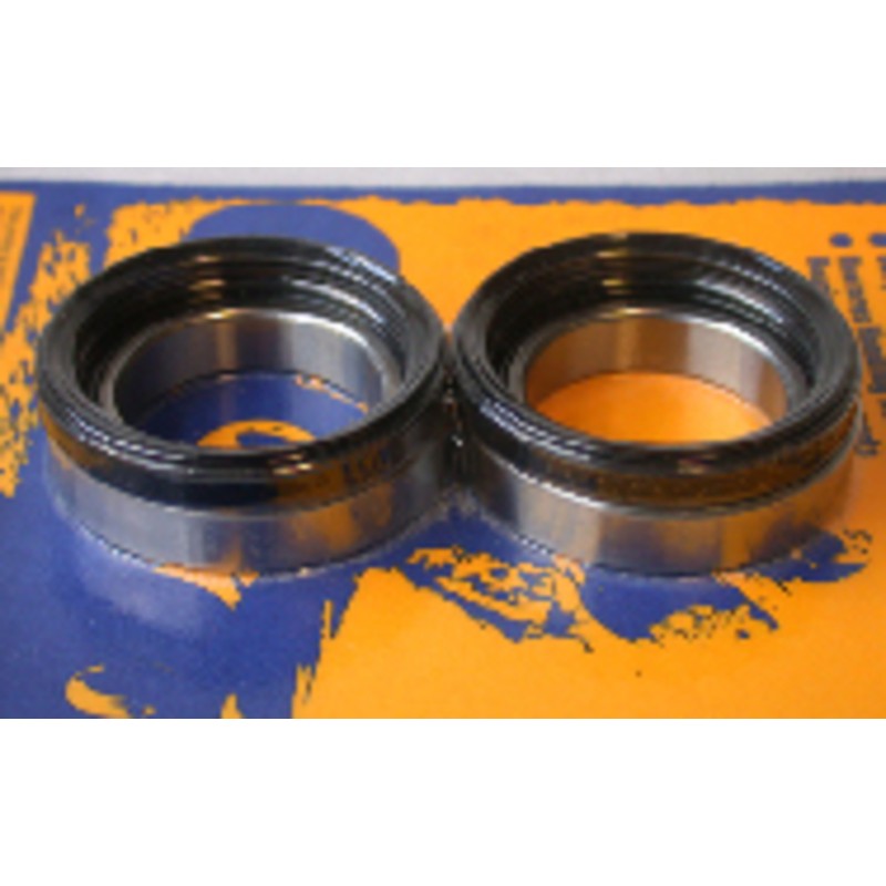 Kit de rodamientos y retenes de rueda trasera PIVOT WORKS