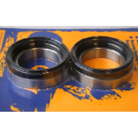 Kit de rodamientos y retenes de rueda trasera PIVOT WORKS