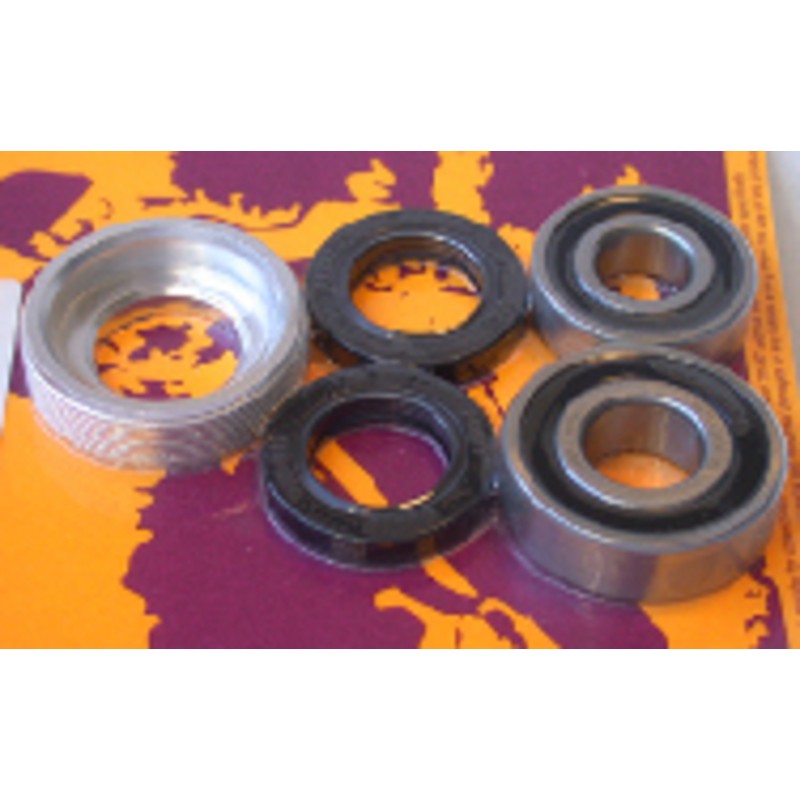 Kit de rodamientos y retenes de rueda trasera PIVOT WORKS