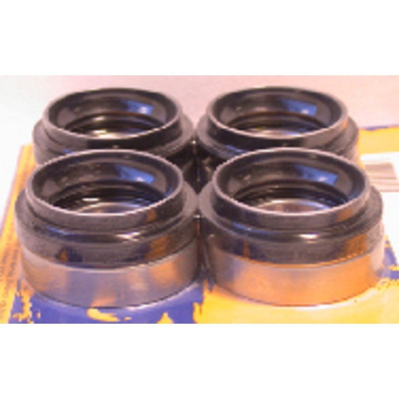 Kit de rodamientos y retenes de rueda trasera PIVOT WORKS