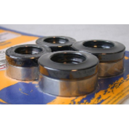 Kit de rodamientos y retenes de rueda delantera PIVOT WORKS