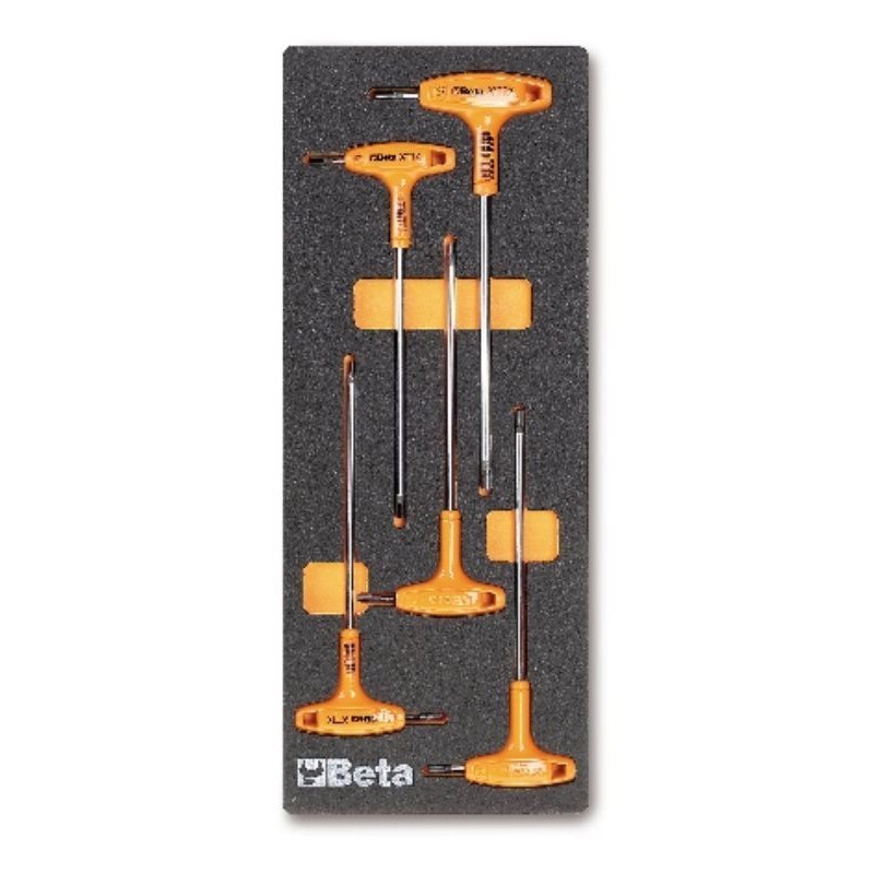Surtido 5 herramientas BETA con bandeja termoformada (M55)