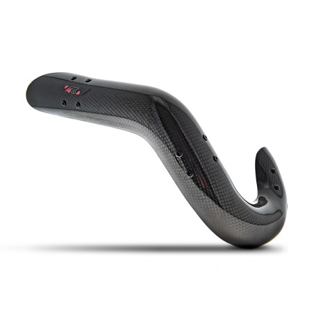 Protector de escape ART carbono Beta RR 05-12