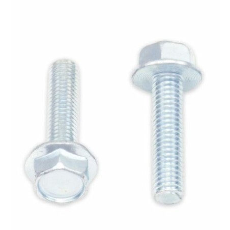 Tornillos con cabeza hexagonal de brida BOLT 10mm M6 x 1,00 x 25mm