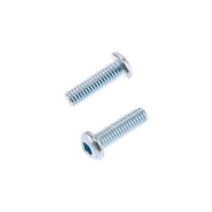 Tornillos cabeza redonda gruesa BOLT M6 x 1 x 20mm