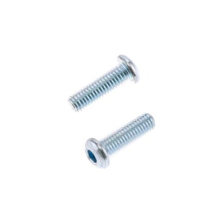 Tornillos cabeza redonda gruesa BOLT M6 x 1 x 20mm