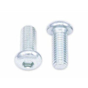 Tornillos cabeza redonda gruesa BOLT M8 x 1,25 x 20mm