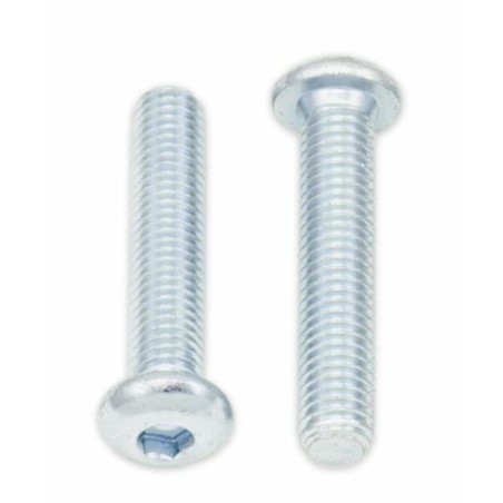 Tornillos cabeza redonda gruesa BOLT M8 x 1,25 x 40mm