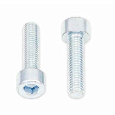 Tornillos BTR BOLT M8 x 1,25 x 30mm