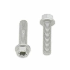 Tornillos con cabeza hexagonal/Torx BOLT M6 x 1,00 x 25mm