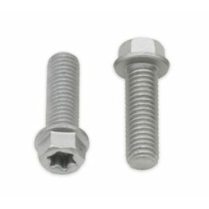 Tornillos con cabeza hexagonal/Torx BOLT M8 x 1,25 x 25mm