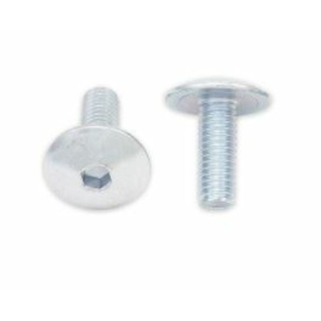 Tornillos cabeza redonda plana BOLT M6 x 1,00 x 16mm