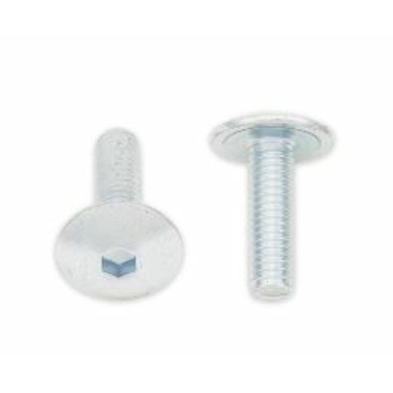Tornillos cabeza redonda plana BOLT M6 x 1,00 x 20mm