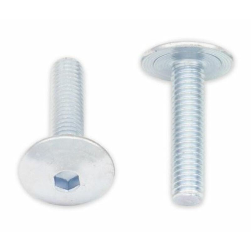 Tornillos cabeza redonda plana BOLT M6 x 1,00 x 25mm