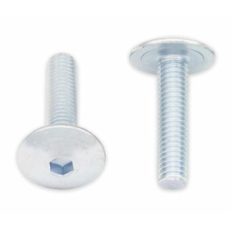Tornillos cabeza redonda plana BOLT M6 x 1,00 x 25mm
