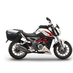 Fijaciones SHAD 3P System BENELLI BN 302 '15