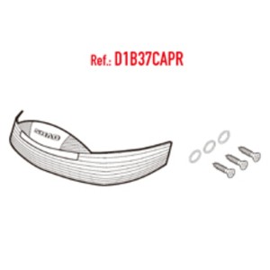 Recambio CATAD. PINTADO SH37 2012