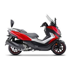 Kit de montaje de Respaldo SYM Cruisym 300i 18-