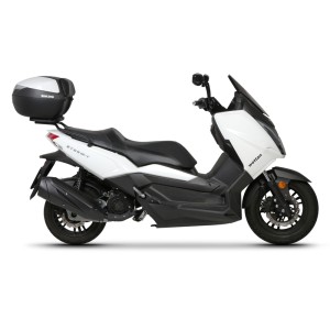 Fijaciones Shad Top Master Wottan 125 18