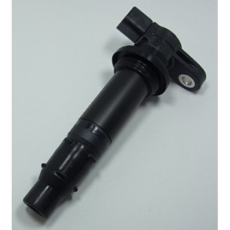 Bobina de ignición Yamaha XTZ1200 IGN-218P
