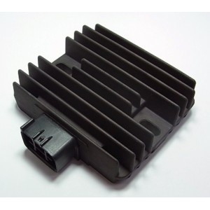 Regulador de corriente Tourmax ER6-N