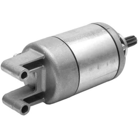 Motor de Arranque Arrowhead SMU0210