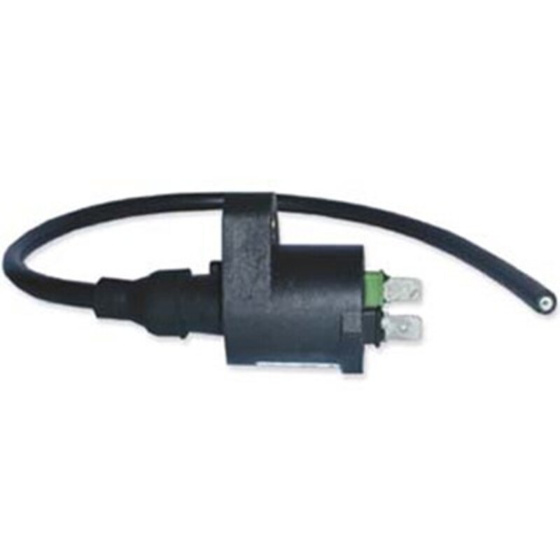 Bobina DZE 4019 TRX 250 Encendido elec. CDI