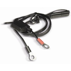 Cable de conexión permanente con fusible BS BATTERY PA-01