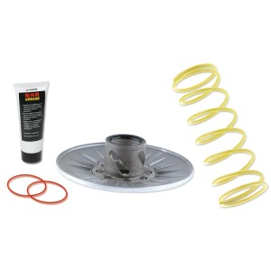 Corrector de par Malossi 4T