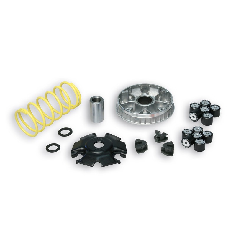 Variador Multivar Malossi SYM GTS/SYMPHONY 125 PGT TWEET 125