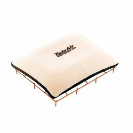 Filtro de aire Twin Air 156149P