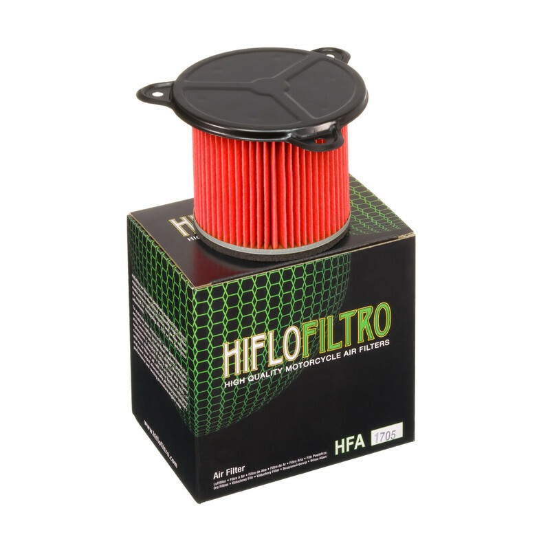 Filtro de aire HIFLOFILTRO - HFA1705