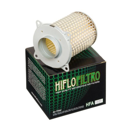 Filtro de aire HIFLOFILTRO - HFA3801
