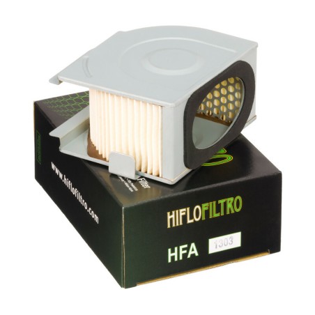 Filtro de aire HIFLOFILTRO - HFA1303