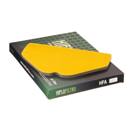 Filtro de aire HIFLOFILTRO - HFA2909